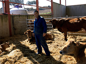 Un ganadero de vacuno de carne, con sus animales