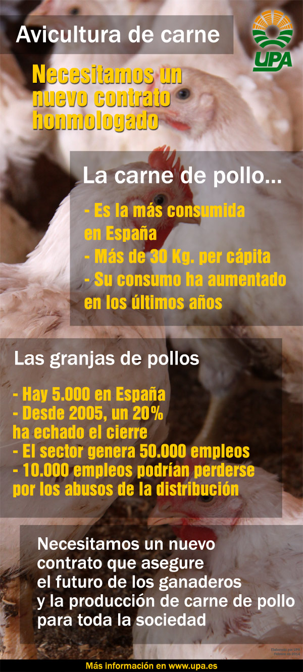 Avicultura de carne en España