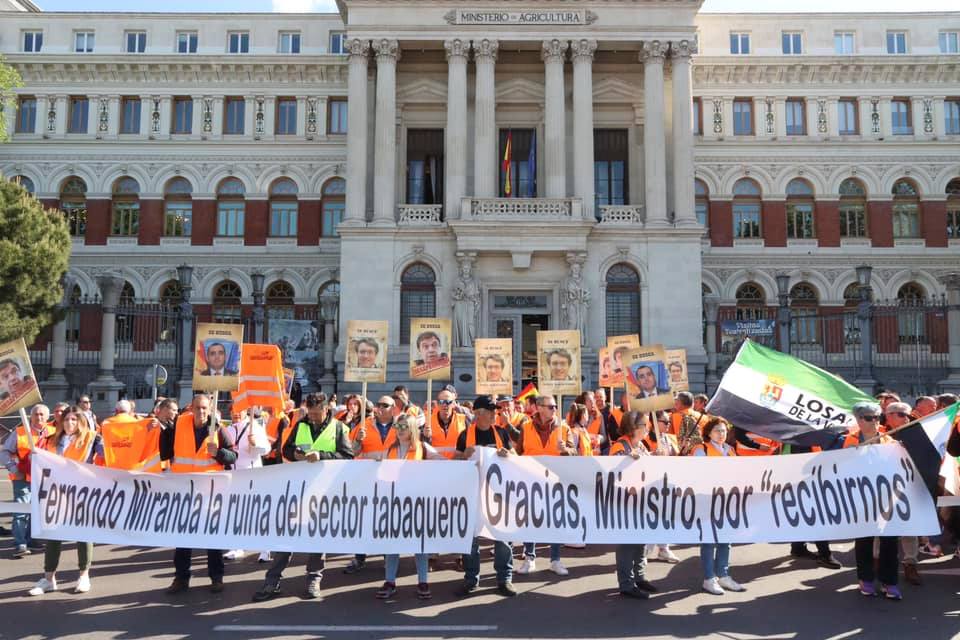 Productores extremeños de tabaco reclaman en Madrid la protección del sector